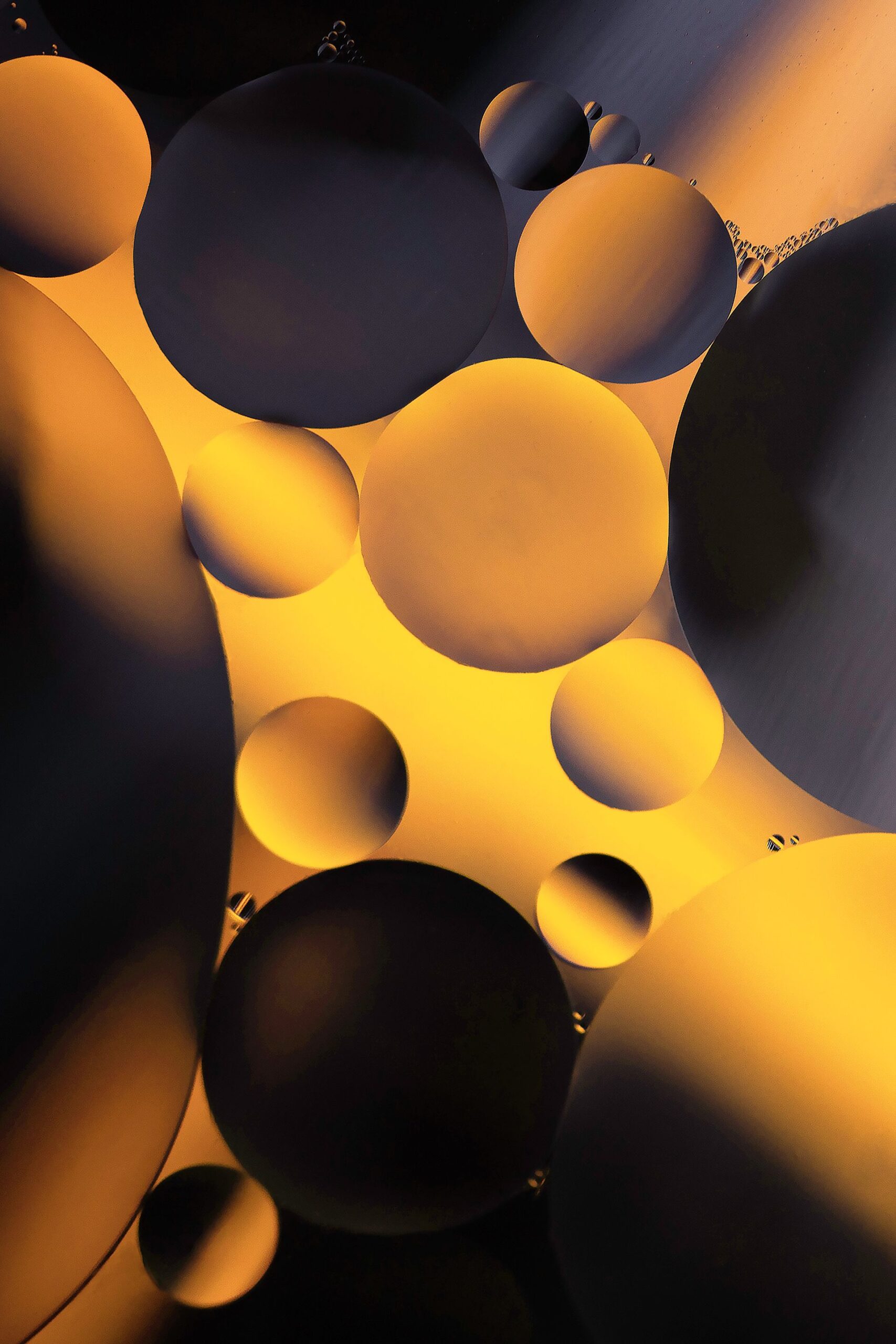 dustin-humes-bSS9hfL4oTw-unsplash dustin-humes-bSS9hfL4oTw-unsplash