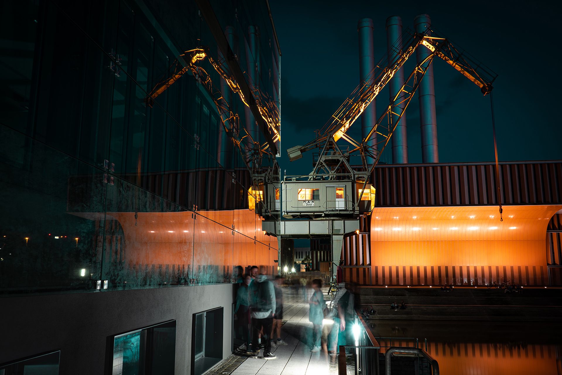 florian-roost-sPLXysDqXKA-unsplash florian-roost-sPLXysDqXKA-unsplash